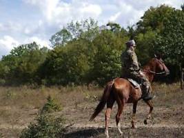 an der front angetroffen: ukrainische armee greift reitende russische soldaten an